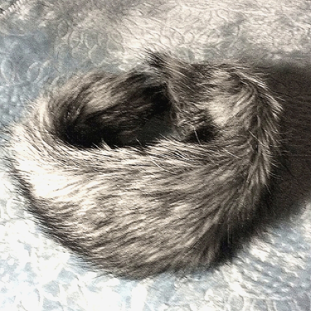 🌟 Faux Fur Head Band, for winter or cold weather, wear w/ jacket or sweater